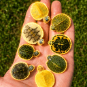 Turtles