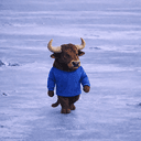 NIETBULL