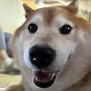 まんてん