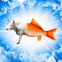 bullish