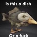 FUCK