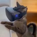 HUMPCAT
