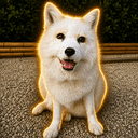 Koda