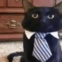 BCAT