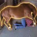 $HORSE