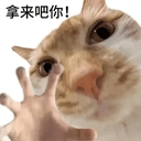 FOMOCAT