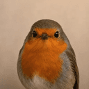 Wifout