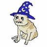 Magical cat