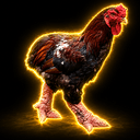 dragochick
