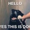 CALLDOG
