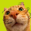 nopecat