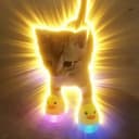 catwifglow