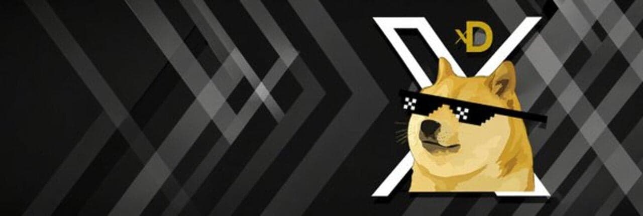 XDOGE Banner