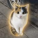 ATE