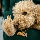 AUDG