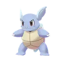 Wartortle