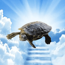 Tartaruga