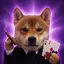 casinu