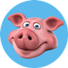 PIG