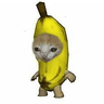 香蕉猫