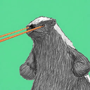 BADGER