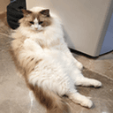 Yuexin