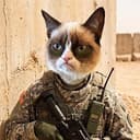 CATWORK