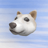 wDoge