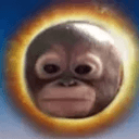 budi