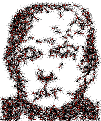 gennyseed