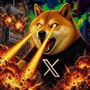X DOGE