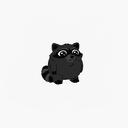 Coon