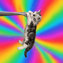 HODLcat