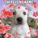 ‎ily