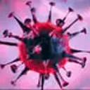 NOROVIRUS