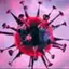 NOROVIRUS