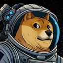 DOGE1