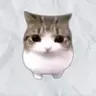 Meowpin