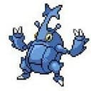 Heracross