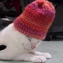 wifhat