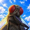 $FLY