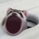 POPFERRET