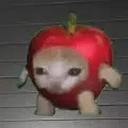 APPLECAT