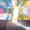 EUPHORIA