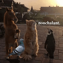 Nonchalant