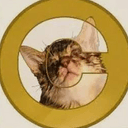 CATCOINSOL