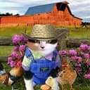 farmcat