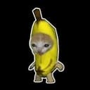 banacat