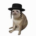 JEWCAT