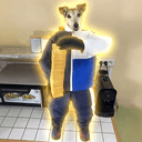 WIWIDOG